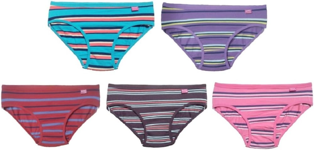 DIXCY Women's Nylon Briefs (Pack of 5)