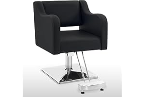 BarberPub Classic Salon Chair for Hair Stylist,Hydraulic Barber Styling Chair,Beauty Salon Spa Equipment 3802 (Black)