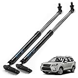 ARANA Rear Hatch Struts for Subaru Forester