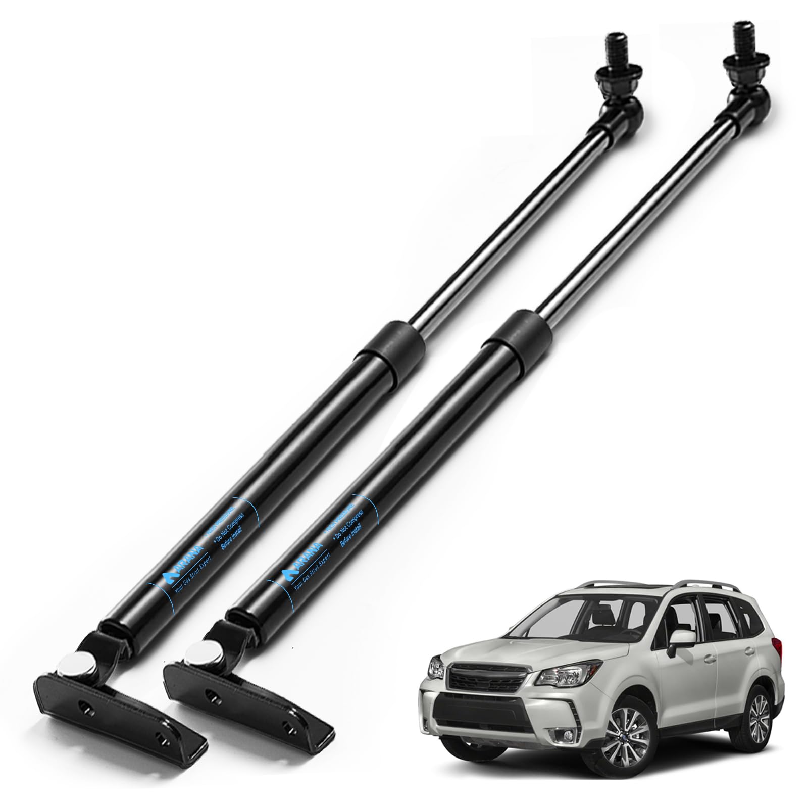 ARANA Rear Hatch Struts for Subaru Forester