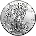2014 American Silver Eagle Coin