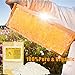 YYCH 1-lb Pure White Beeswax Pellets-100% Pure