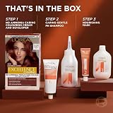 L'Oréal Paris Excellence Universal Reds Ammonia-Free Hair Colour 5UR Universal view 7