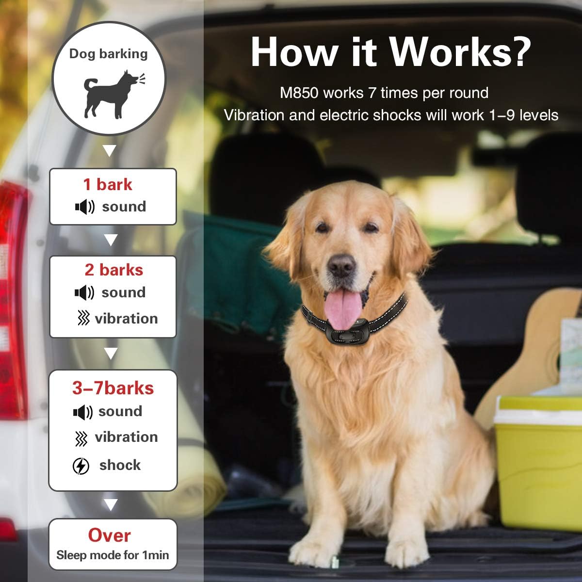 Dog Bark Collar, CLEEBOURG No Barking Shock Collar Anti Bark Rechargeable Dog Training Collar with Beep Vibration and Shock, 9 Adjustable Sensitivity Levels for Small Medium Large Dog : Kitchen & Dining