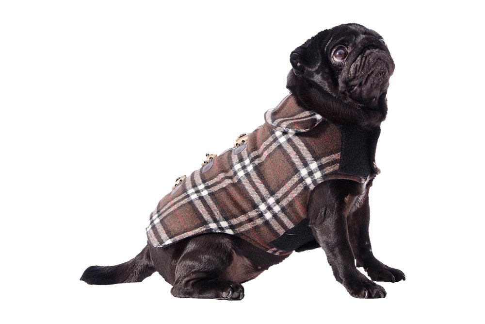 Ancol Small Bite Small Bite Duffel Coat, Small, Brown/Chocolate