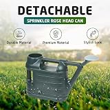 Accurate Watering Can 6.5 L with Sprinkler Rose Green Garden Tool view 4