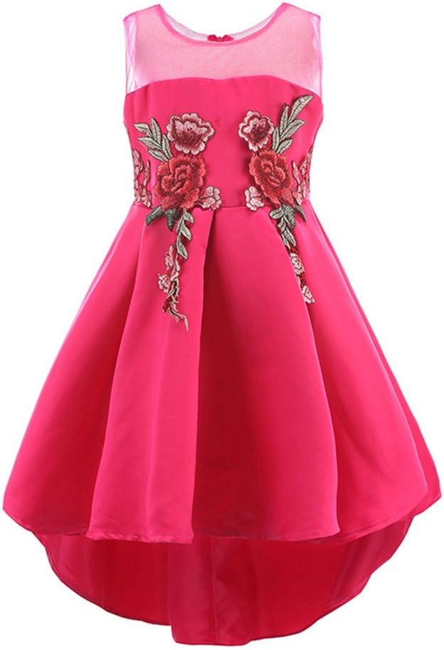 WEONEDREAM Rose Green Ball Gown Tutus Dresses High Low Girl Dresses Big Girl Size 7-16 13 14 Cotton Pleated Skirt (Rose, 160)