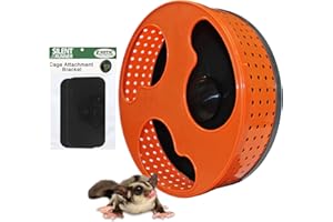 Silent Runner 12" with Autoclean | Sugar Glider Wheel