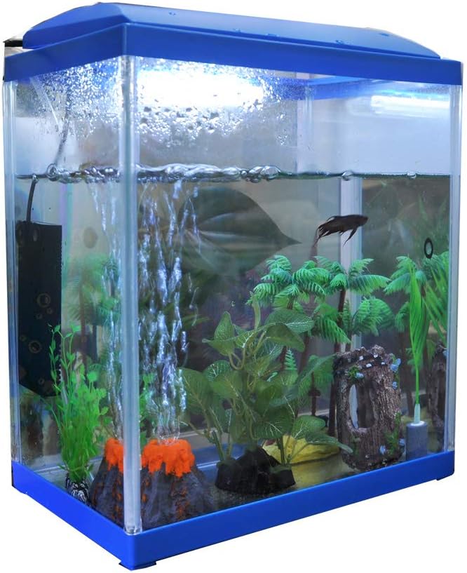 Salute All In One Aquarium Kit Fish Tank 3 5 Gallon White Glass With Filter Pump Led Lighting Thermometer Stones Clean Tools In Office Starter Kits Pet Supplies Vit Edu Au