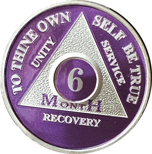 6 Month Purple Silver Plated AA Medallion Chip