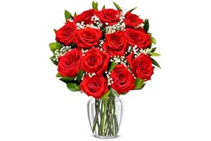 From You Flowers - One Dozen Long Stemmed Red Roses with Glass Vase | Fresh Flower Bouquets for Birthday, Anniversary, Get Well or Celebration