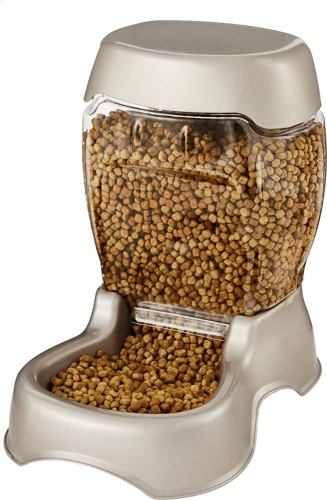 Pet Supplies : Petmate Pet Cafe Feeder Dog and Cat Feeder Pearlescent Colors 3 Sizes : Pet Self Feeders : 