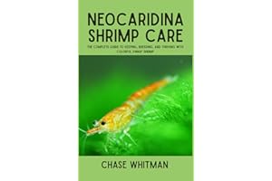 Neocaridina Shrimp Care: The Complete Guide to Keeping, Breeding, and Thriving with Colorful Dwarf Shrimp