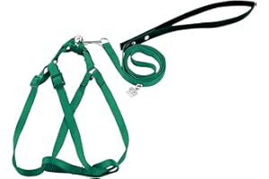PREFERHOUSE Bird Harness and Leash Kit Adjustable Anti-Bite, Fit for Large Medium Birds, Macaw,Budgerigar, Cockatoo, African Grey, and Reptiles, Lizards(Green Medium)