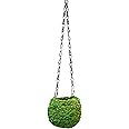 SuperMoss (29346) Kokedama Planter, 4", Fresh Green
