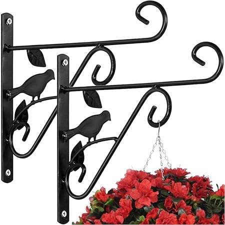 Amazon Com 2 Pack Plants Bracket 10 Wall Planter Hook Flower