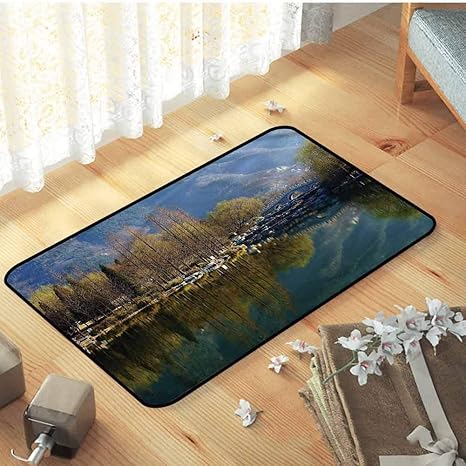 Amazon 屋内屋外キッチンラグとマットホリデードアマット屋外の自然がエントリと高トラフィックエリア 23 5 X 15 5インチの水に反映 60x40cm 玄関マット オンライン通販