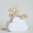 Fresh Look at Amazon Com Cloud Decor Planter Indoor Hanging Plant Pot White