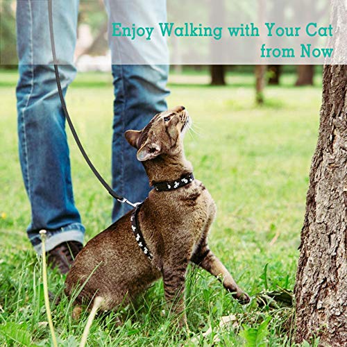 rabbitgoo 2 Pack Cat Leashes Long Nylon Pet Leash, Escape Proof Durable Walking Leads, Easy