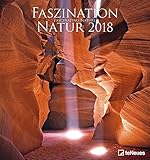 2018 Fascinating Nature Calendar - Wall Calendar- Photography Calendar - 45 x 48 cm by 