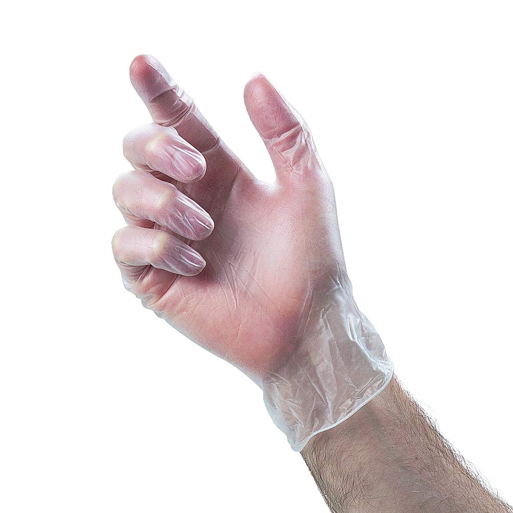 VINYL GLOVES - POWDER FREE, NON LATEX AND CLEAR, Small, Medium or Large100 GLOVES IN BOX - NEW (1, Large)