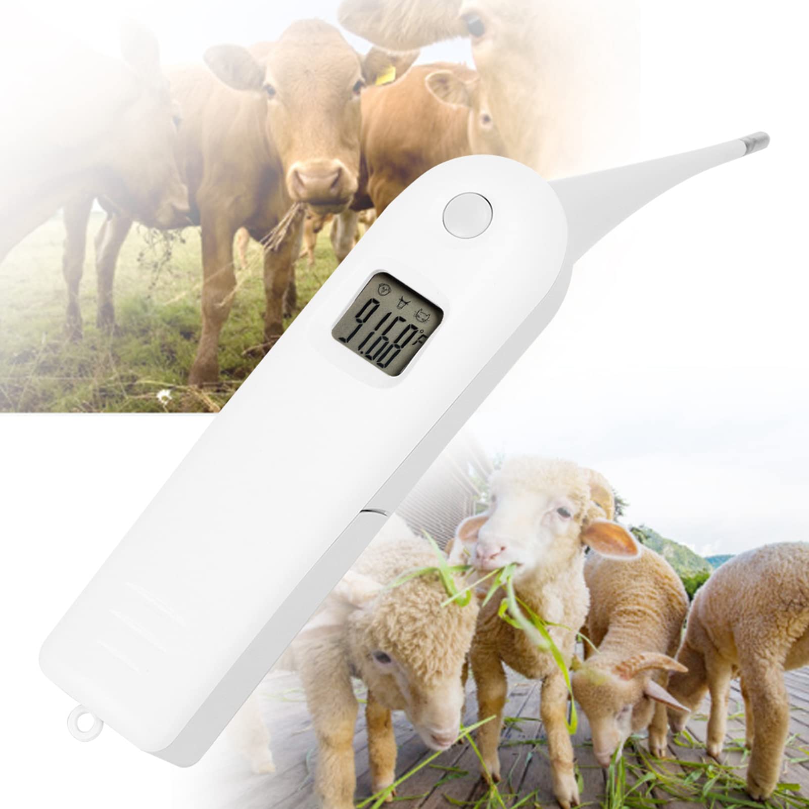 Electronic Pigs Cattle Sheep Thermometer, Pet Dog Thermometer Anus Thermometer Fast Digital Veterinary Thermometer Temperature Tester for Livestock