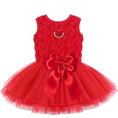 Amazon.com New Releases: The best-selling new & future releases in Dog  Dresses