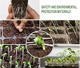 WY8 Seed Trays Starter Kit 100 Biodegradable Pots 3 Trays Crystal Lids view 8
