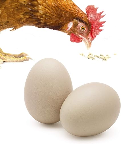 Amazon Com Sungrow Ceramic Chicken Eggs 2 75 Inches Encourages