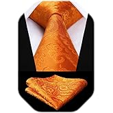 HISDERN Paisley Ties for Men Solid Tie Handkerchief Floral Men's Necktie & Pocket Square Set Wedding Classic Mens Ties