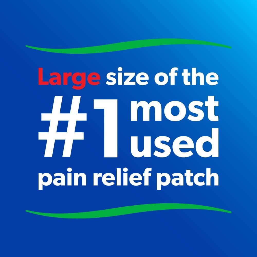 Salonpas Pain Relieving Patches, 60 Count: Health & Personal Care