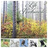 Life in the Northwoods 2020 Wall Calendar by