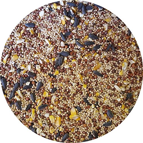Wagner's 53005 Farmer's Delight Wild Bird Food, 40-Pound Bag (Discontinued by Manufacturer) (2) - Thumbnail 2