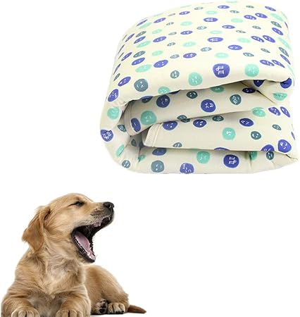 dog incontinence blanket