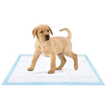 Pet Needs Ultra Absorbent Puppy Training Pads-60 cm X 60 cm-40 pcs