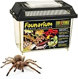 Exo Terra Standard Faunarium Small Reptile Amphibian Insect Enclosure view 1