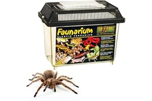 Exo Terra Faunarium, Plastic Reptile Terrarium, Small, PT2255