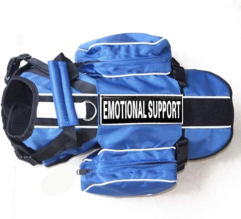 blue vest service dog