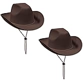 Beistle S60309AZ2 Felt Cowboy Hat 2 Piece, Brown