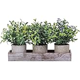 Winlyn Set of 3 Mini Artificial Potted Plants Faux Seeded Boxwood Greenery Arrangement with Wood Planter Box for Indoor Office Apartment Wedding Tabletop Decorations 8.5" Tall