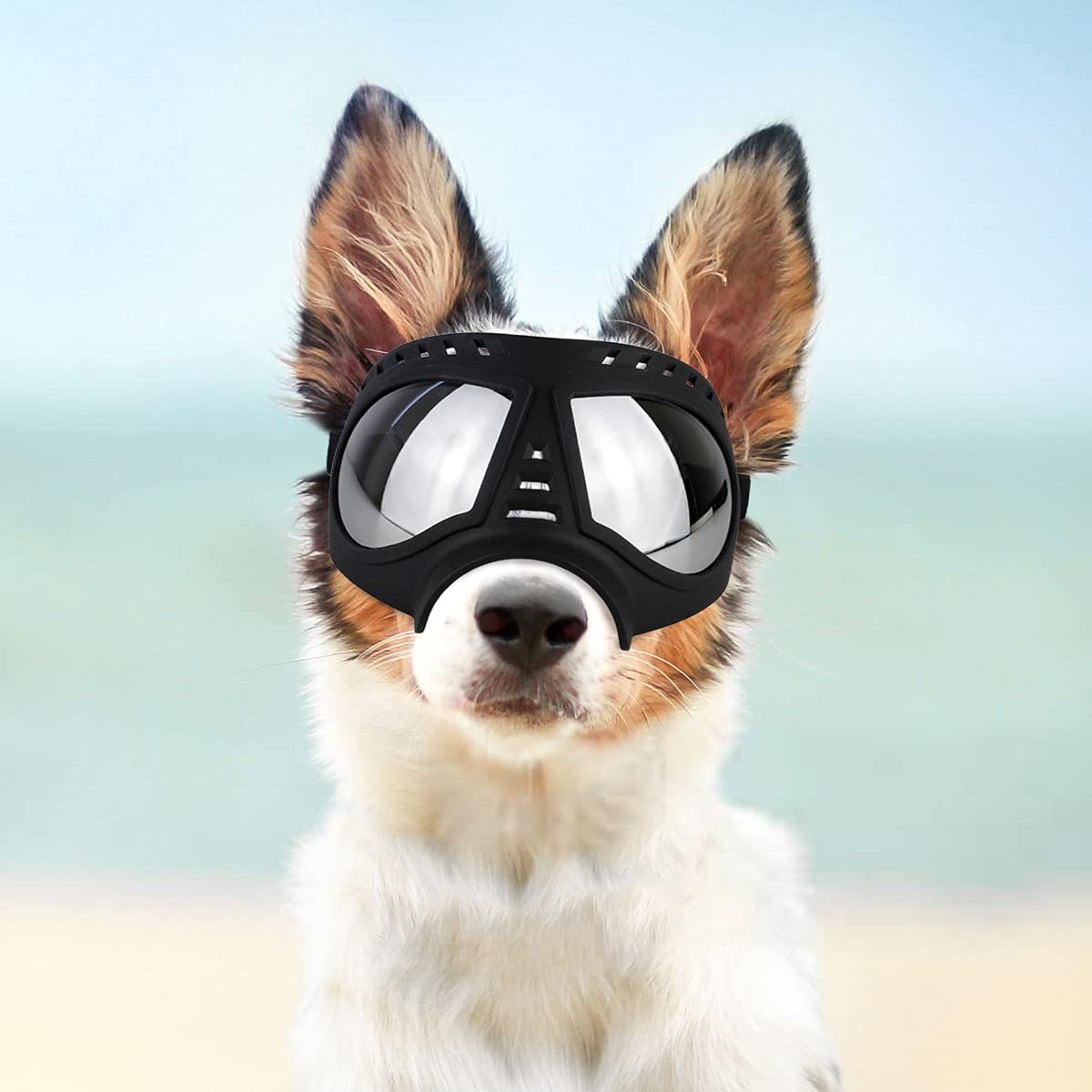petleso dog goggles