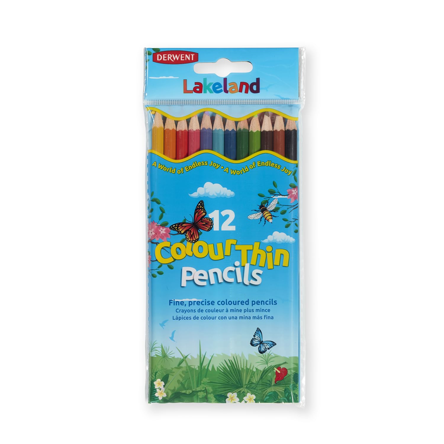 Derwent Lakeland Colouring Pencils for Kids - Pack of 12 Colourthin Coloured Pencils, Kids Colouring Pencils for Arts and Crafts, Assorted Colours