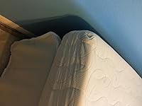 Review Image by Steven S. Steven S.