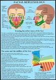 Image de Facial Reflexology -- A4