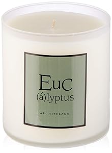 Archipelago Eucalyptus Soy Candle