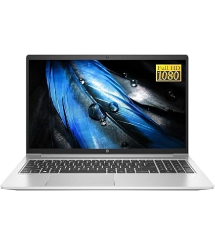 Amazon.com: HP ProBook 455 G10 15.6