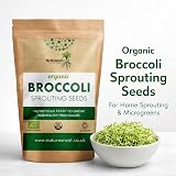 Natures Root Organic Broccoli Sprouting Seeds 250g Non GMO Microgreen view 2