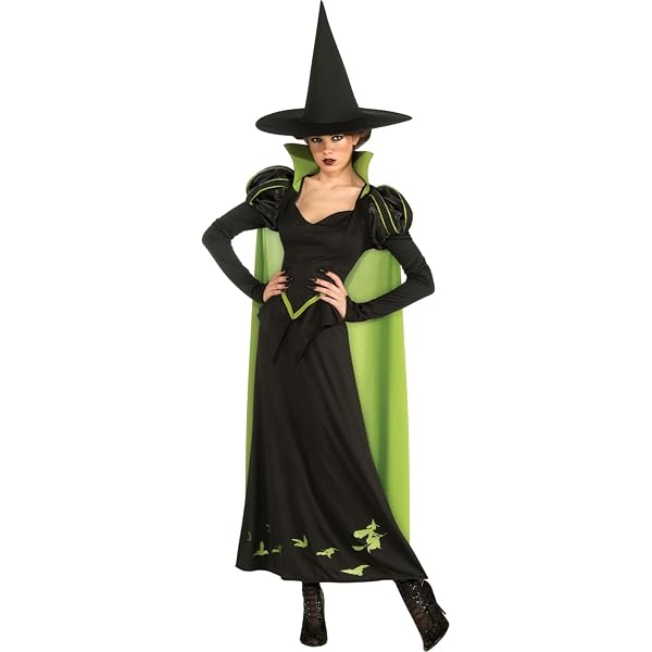 black witch dress amazon Amazon.com: Fun Costumes Classic Black Witch Women's Costume