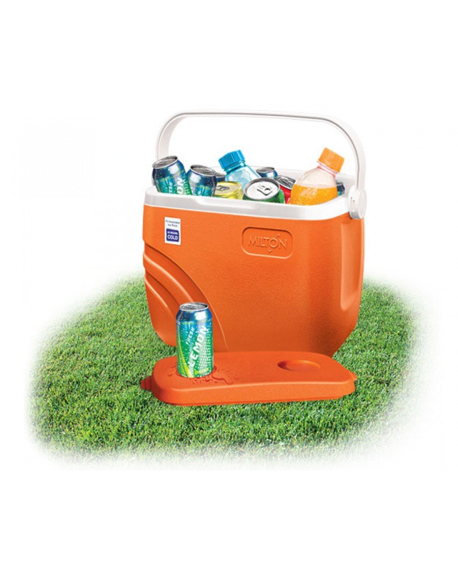 milton 30 litre ice box