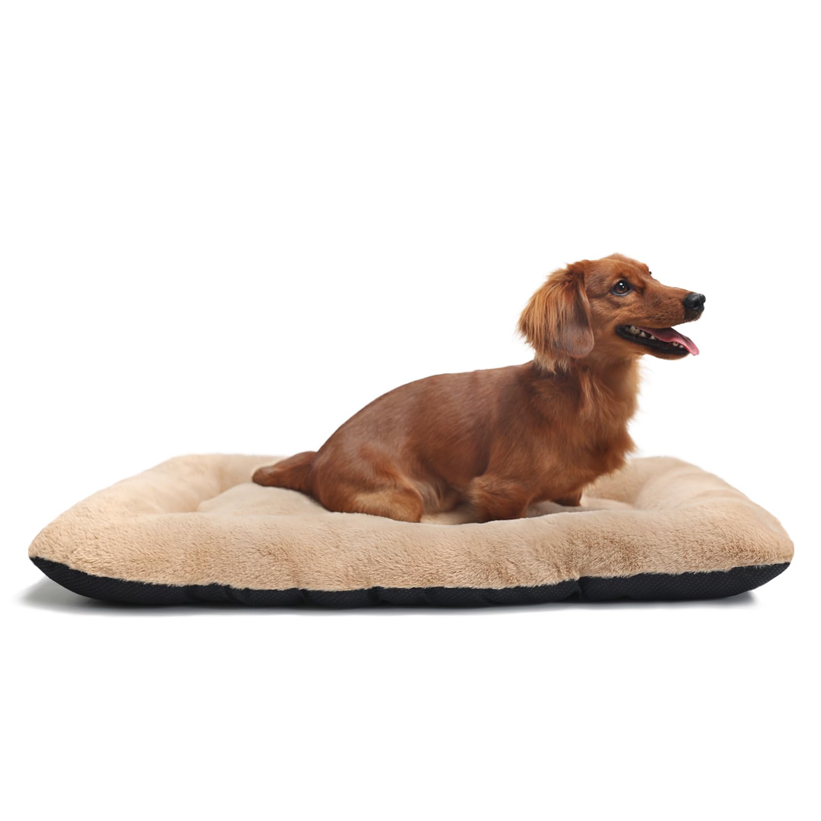 Photo inspiration: Picture Idea: Dog Beds Crate Pad For Medium Dogs Fit Metal Crates